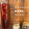 クランベリーの果実酒をつくろう