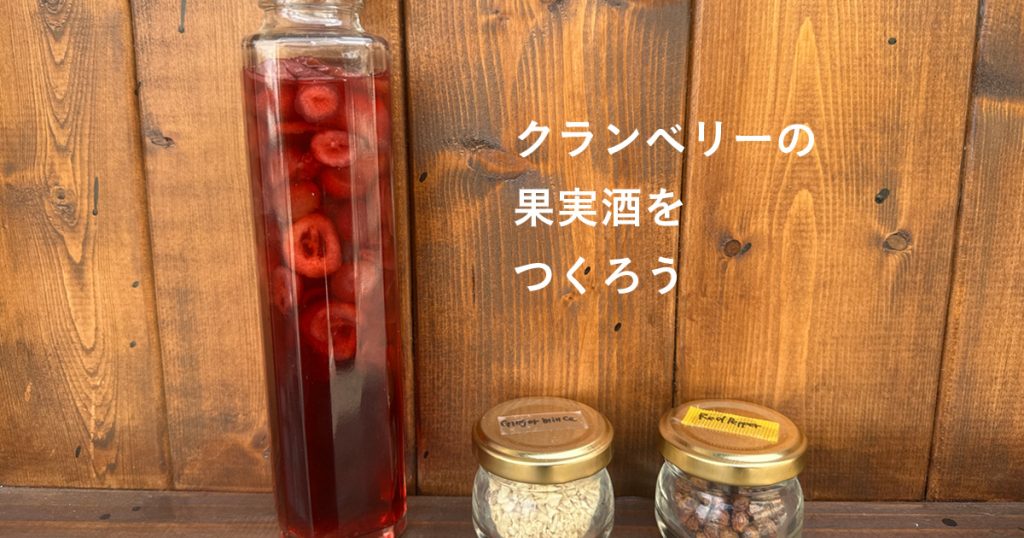 クランベリーの果実酒をつくろう